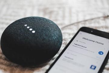 How Can Technology Help You Live An Eco-Friendly Lifestyle?